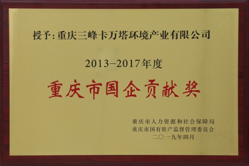 Chongqing State-owned Enterprise Contribution Award